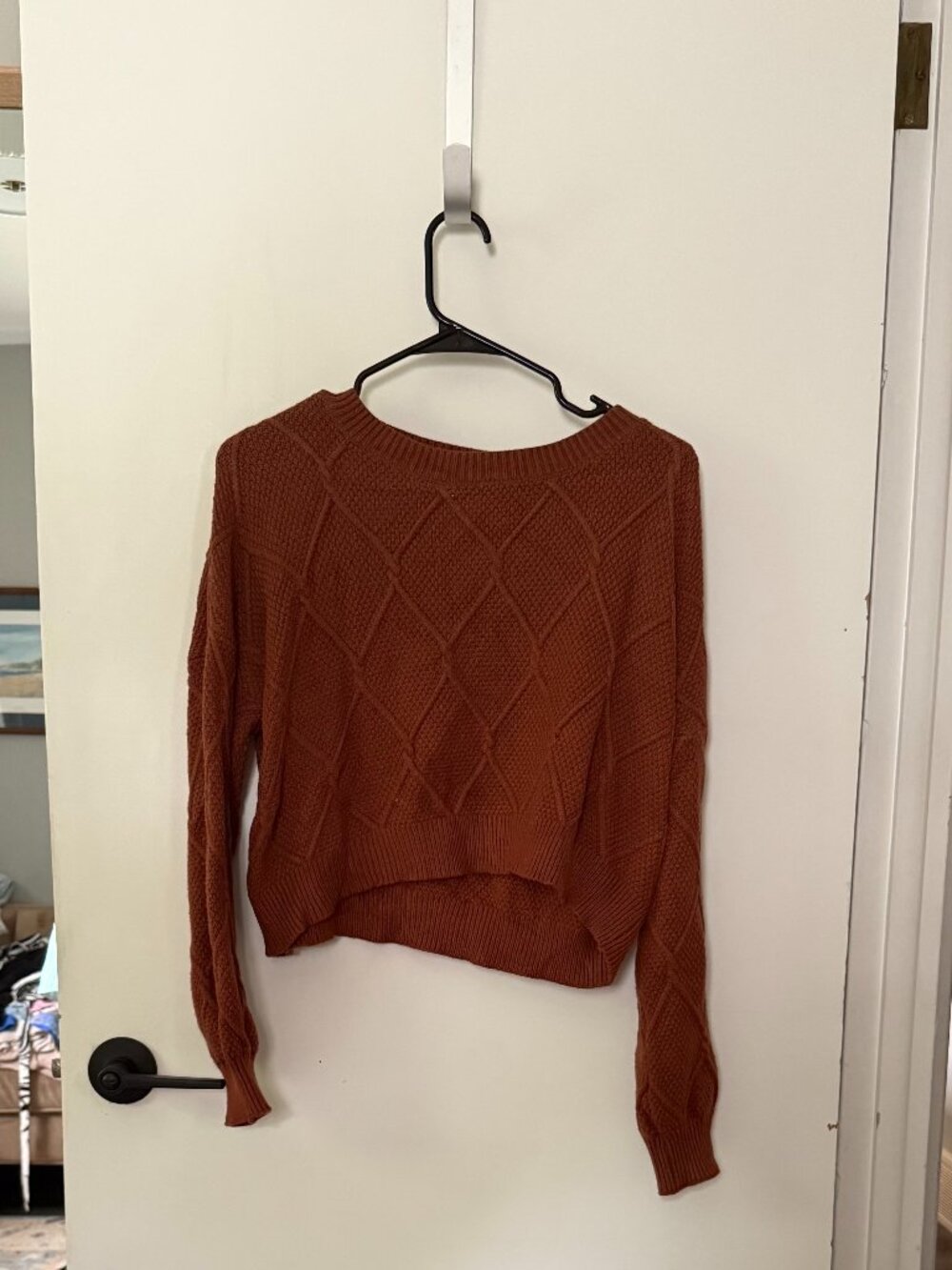 Dreamers by Debut Rust Cropped Sweater Size S